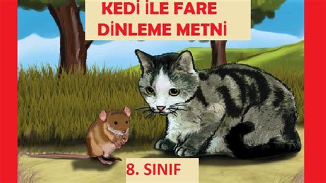 kedi ile fare türkçe
